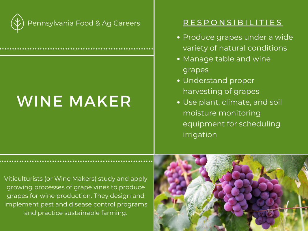 Wine Maker - AG AND FOOD CAREERS IN PA